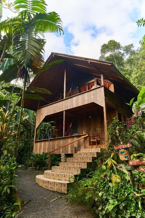 Casa Divina Eco Lodge Mindo Exterior photo